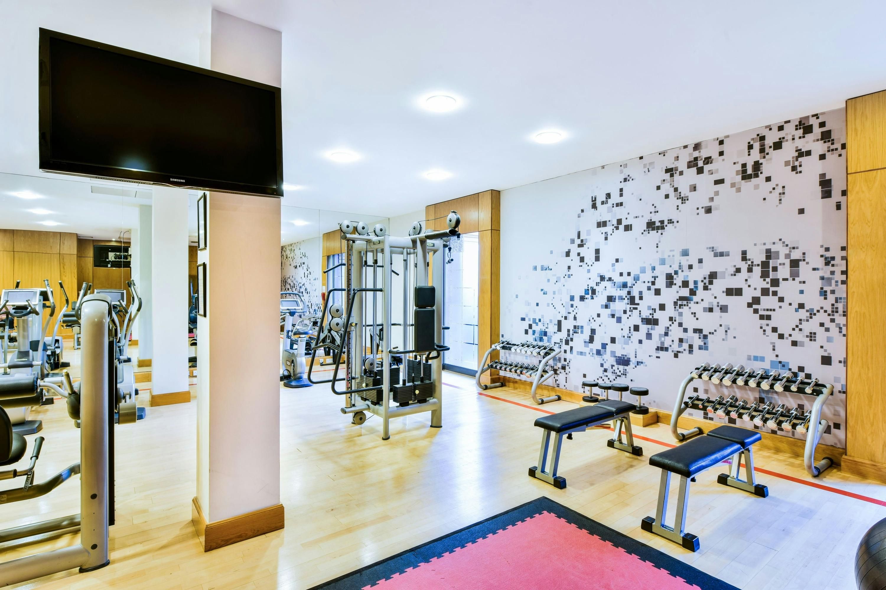 Gimnasio