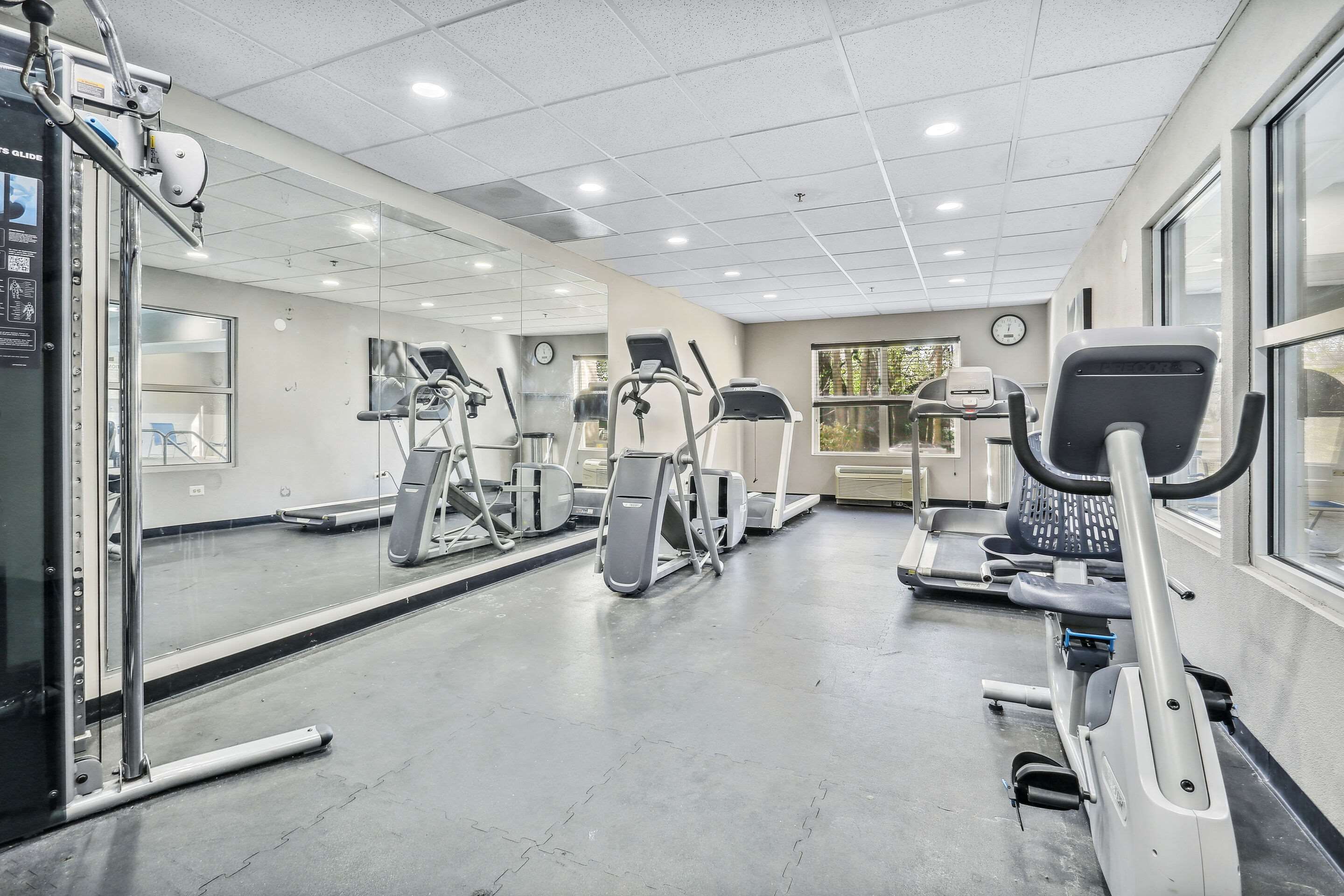 Gimnasio