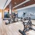 Gimnasio