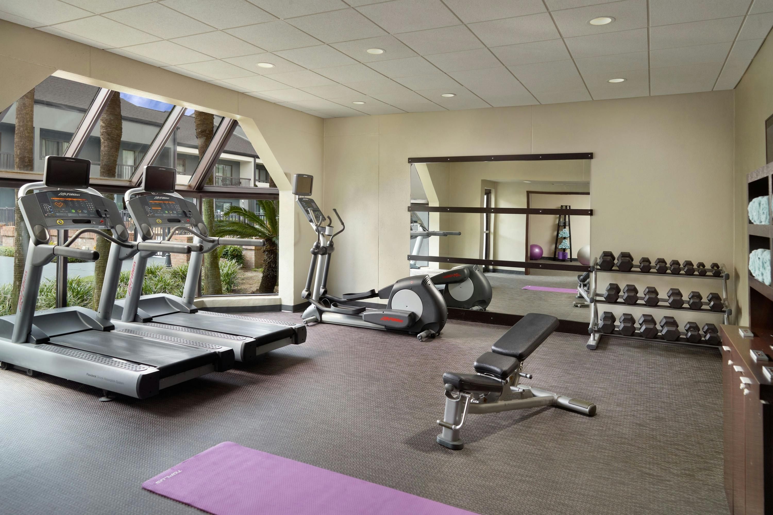 Gimnasio