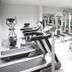 Gimnasio