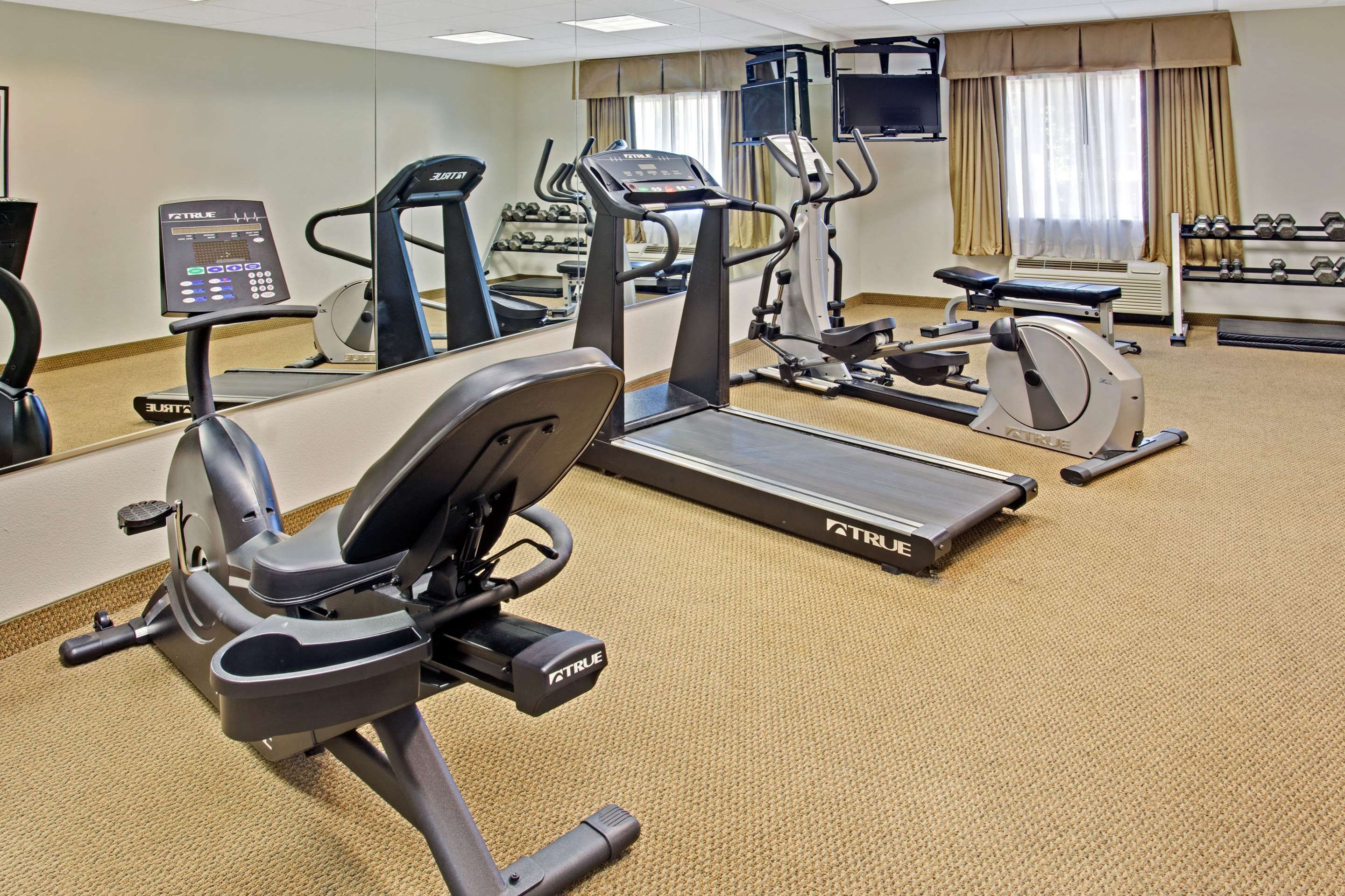 Gimnasio