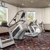 Gimnasio