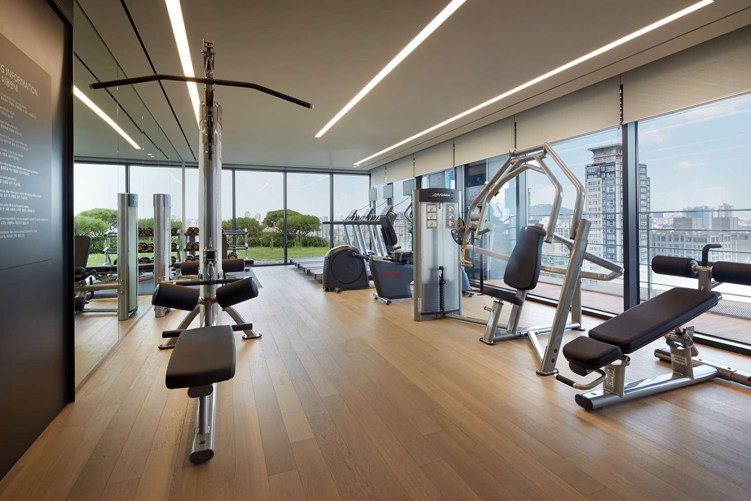 Gimnasio