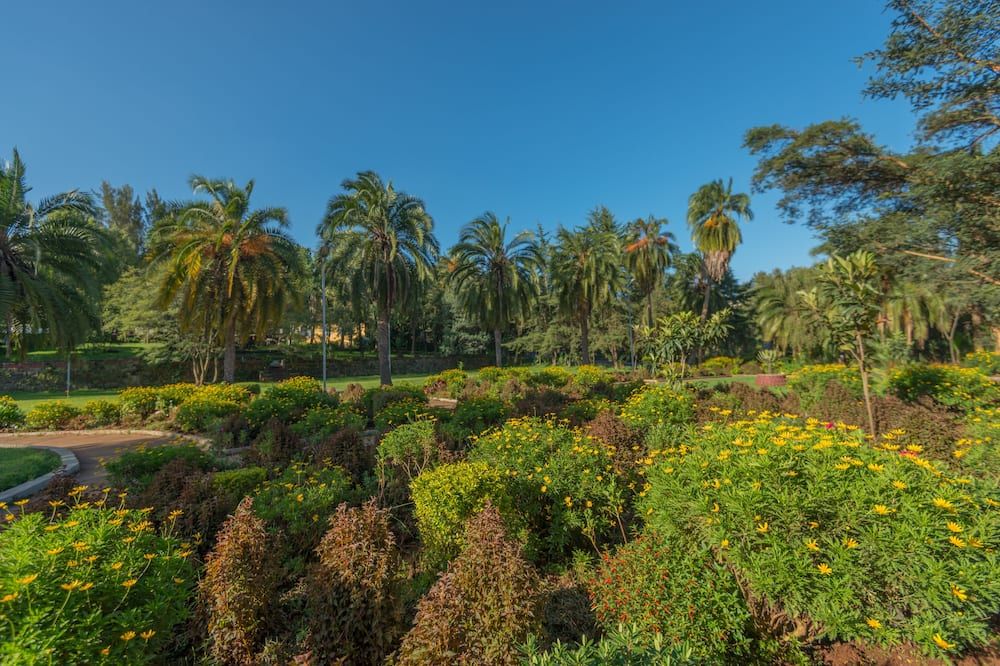 Vista del exterior