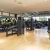 Gimnasio