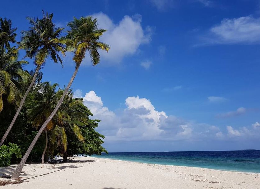 Playa Foto