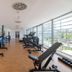 Gimnasio