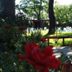 Vista del exterior