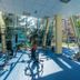Gimnasio