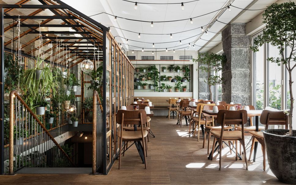 Restaurante Foto