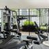 Gimnasio