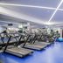 Gimnasio