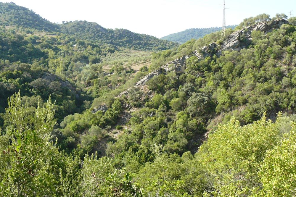 Vista del exterior Foto
