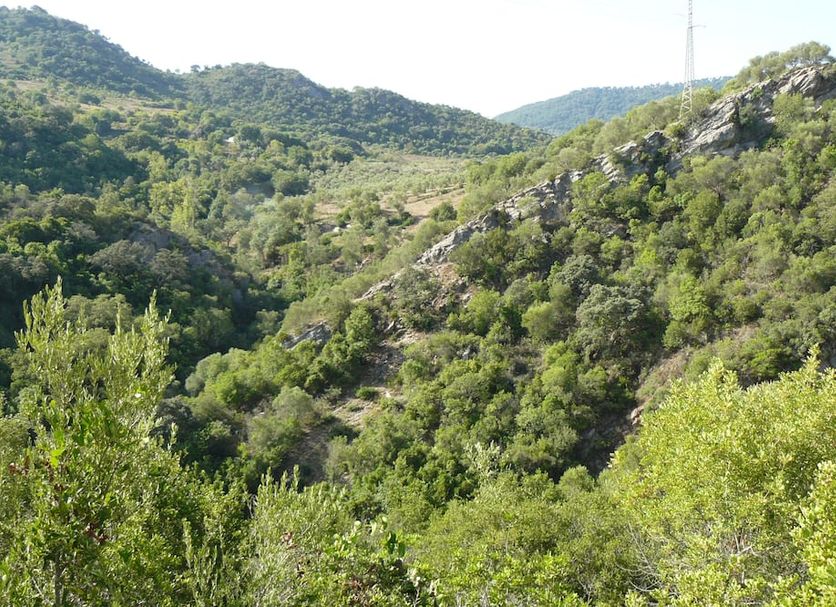Vista del exterior Foto