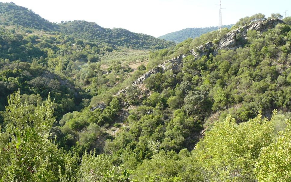Vista del exterior Foto