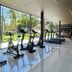 Gimnasio