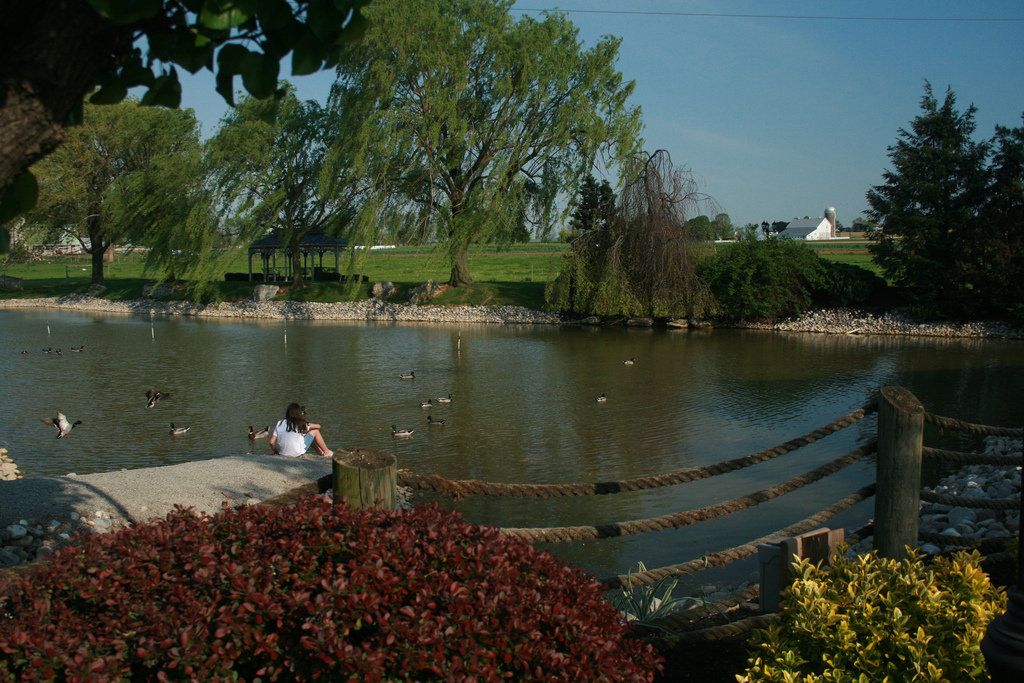 Vista del exterior