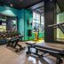 Gimnasio
