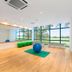 Gimnasio