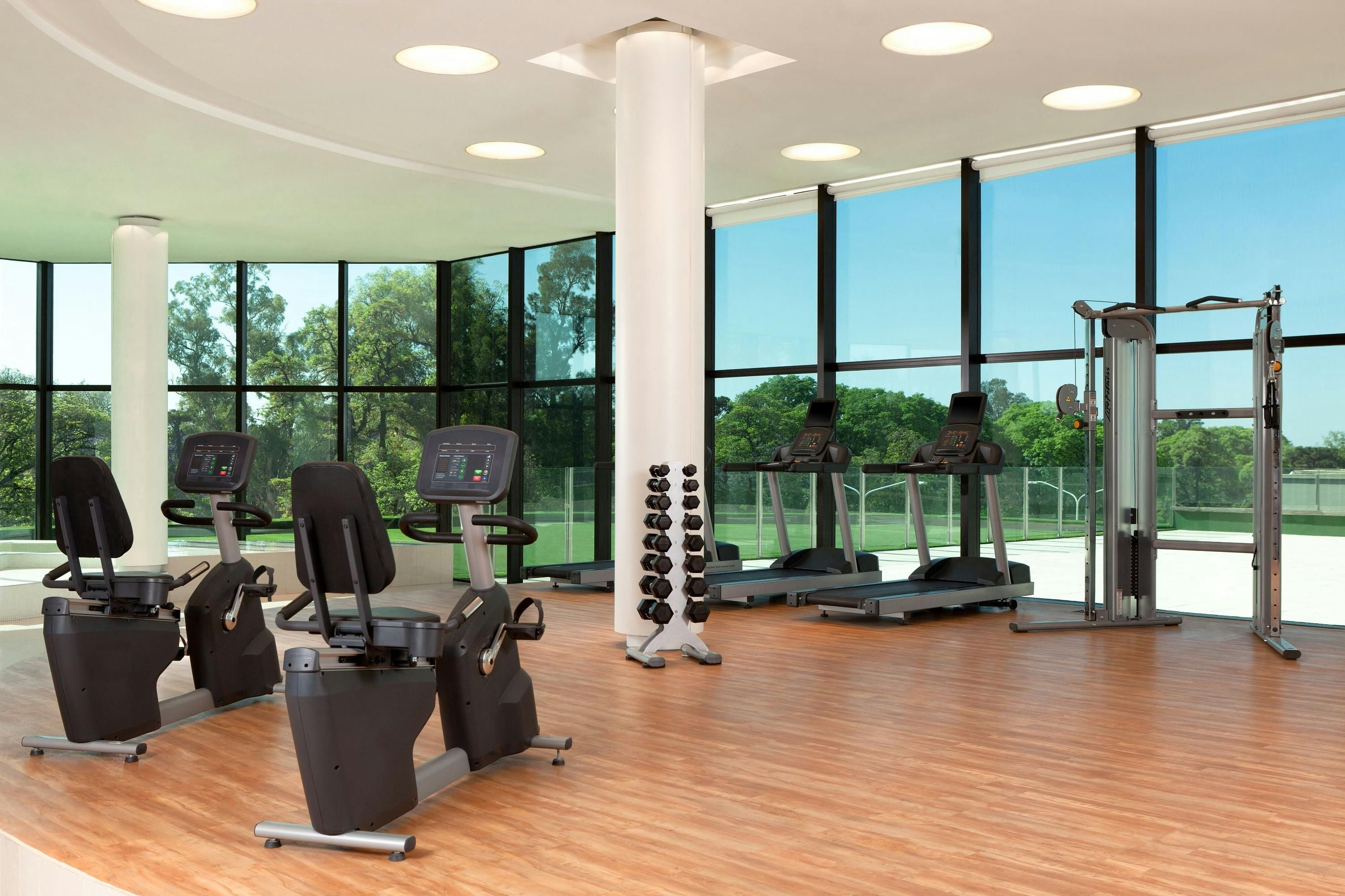 Gimnasio