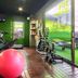 Gimnasio