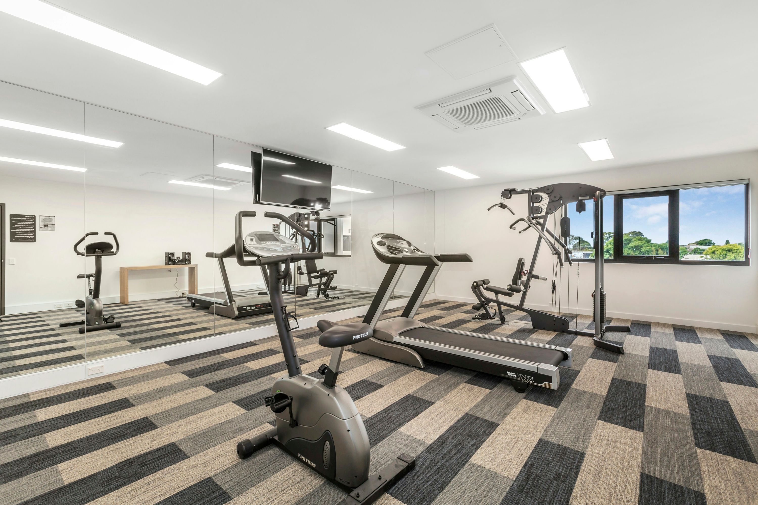 Gimnasio