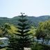 Vista del exterior