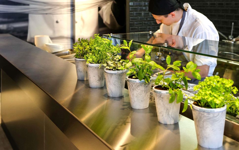Restaurante Foto