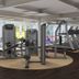Gimnasio