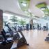 Gimnasio
