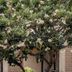 Vista del exterior