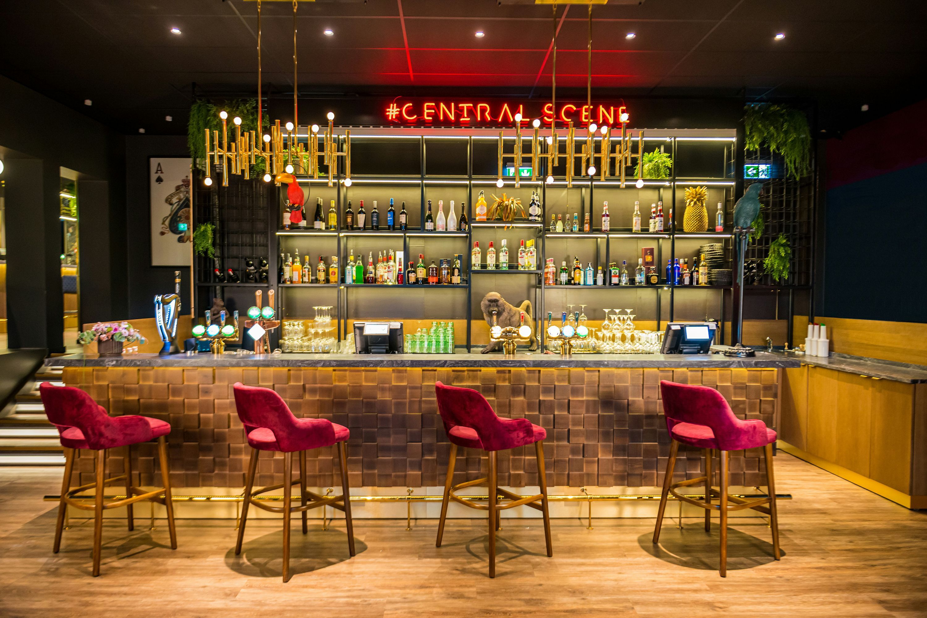 Bar Foto