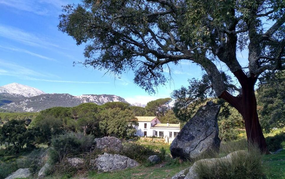 Vista del exterior Foto