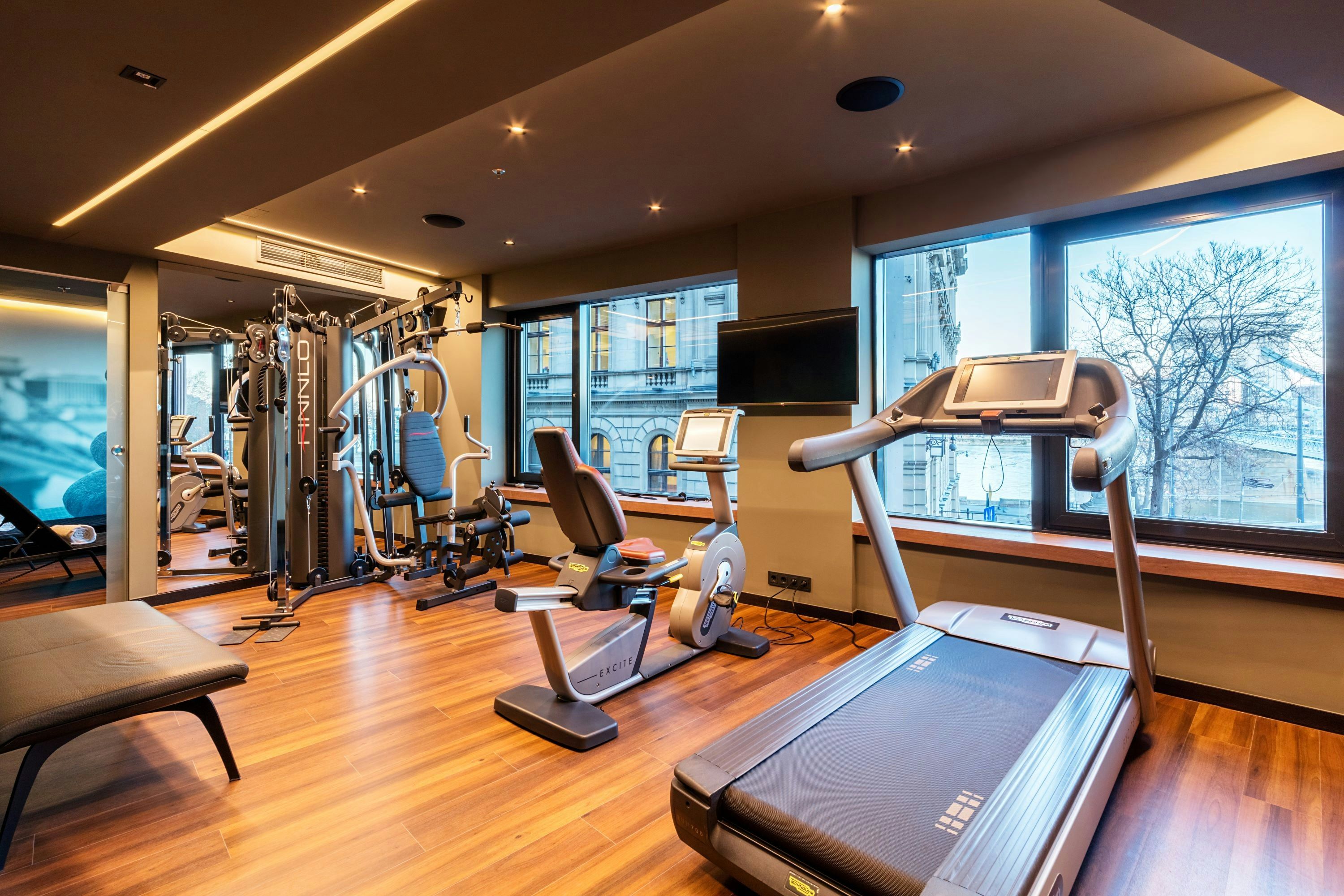 Gimnasio