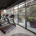 Gimnasio