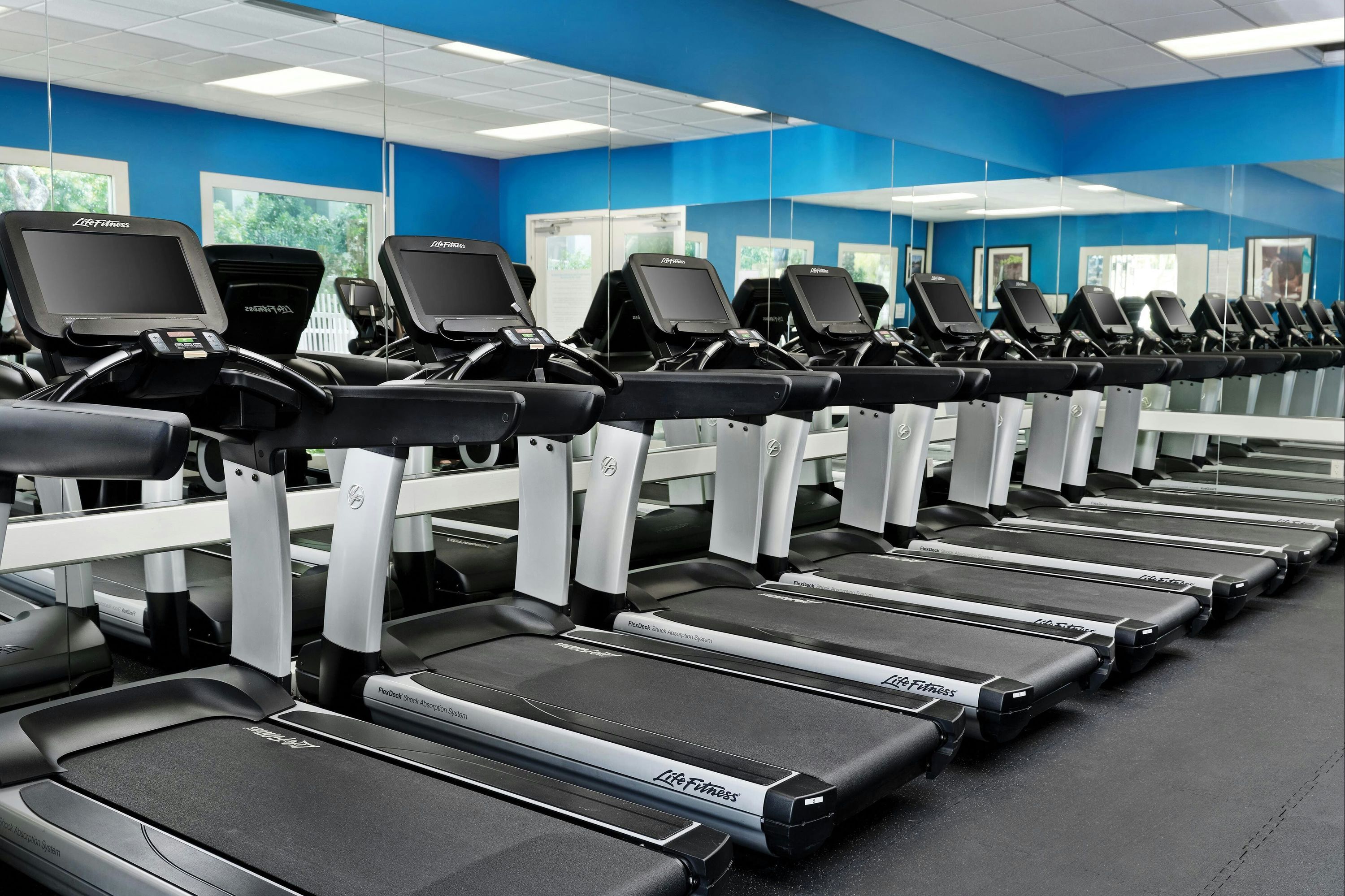 Gimnasio