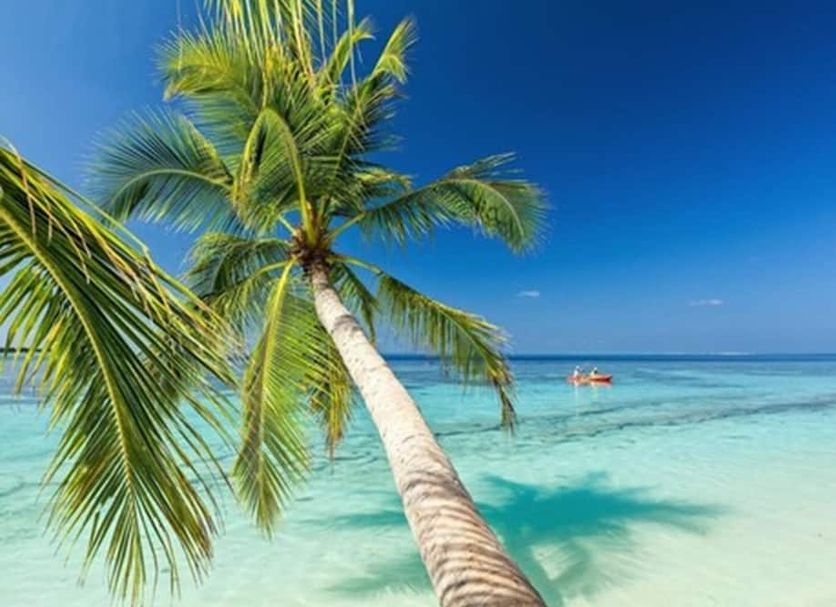 Playa Foto