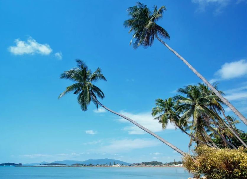 Playa Foto