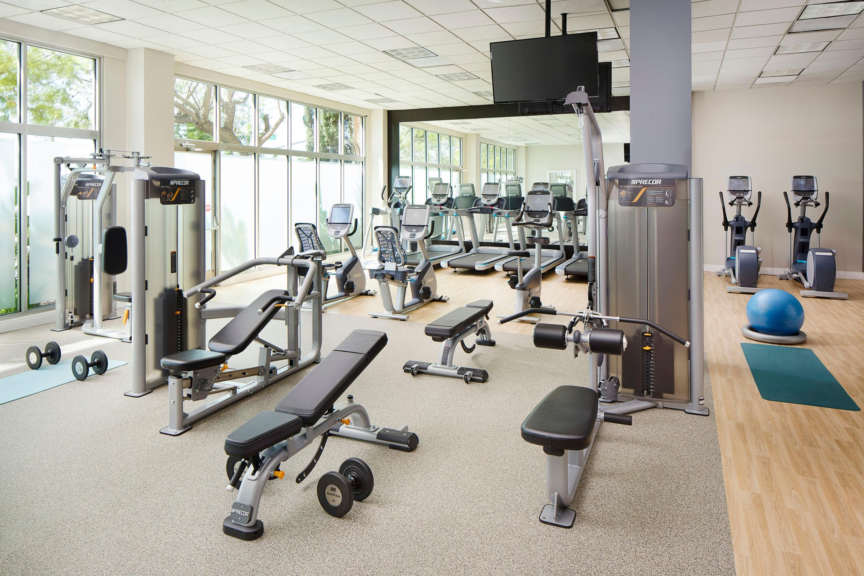 Gimnasio