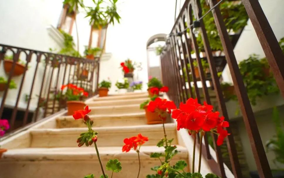 Escaleras Foto