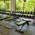 Gimnasio
