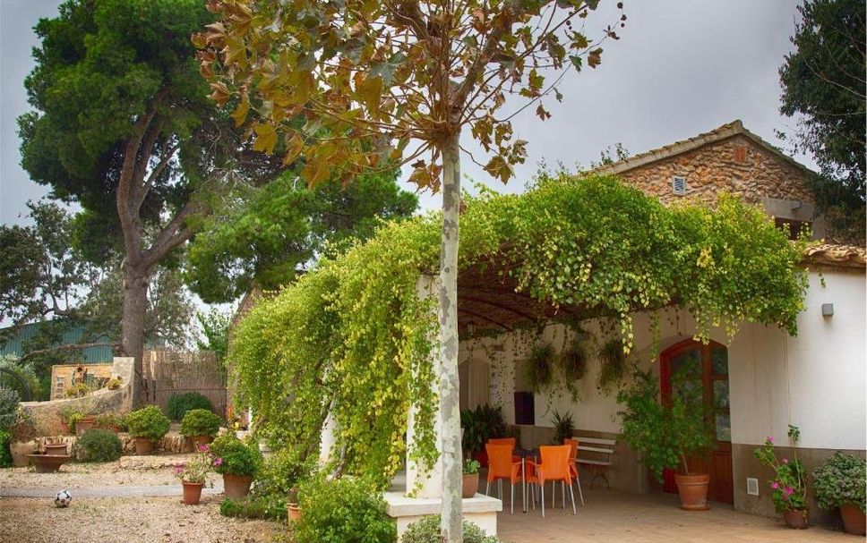 Patio Foto