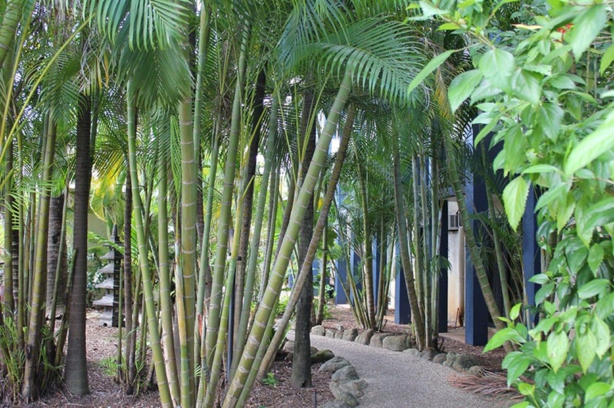 Vista del exterior