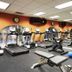 Gimnasio
