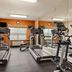 Gimnasio