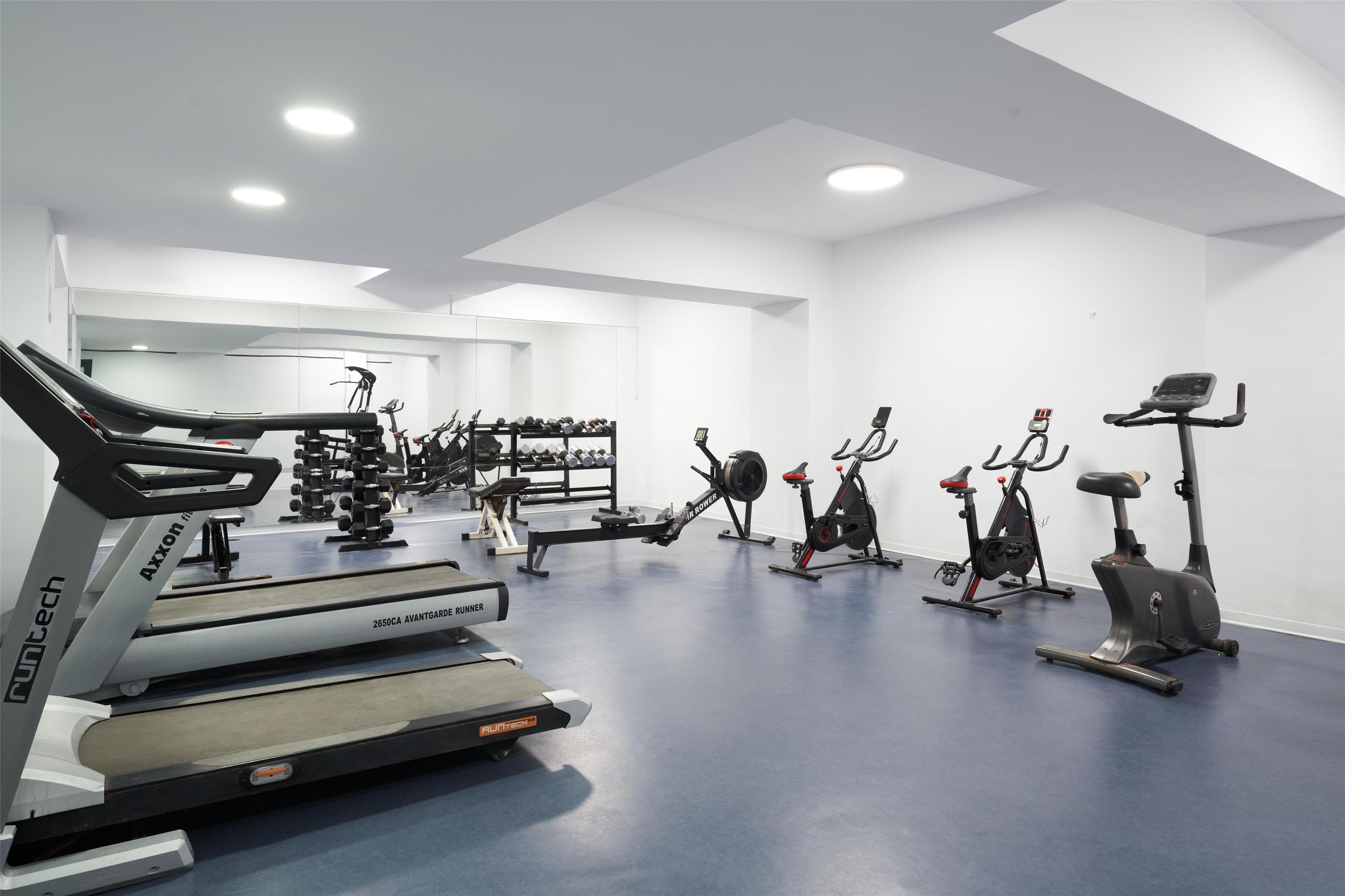 Gimnasio