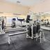 Gimnasio