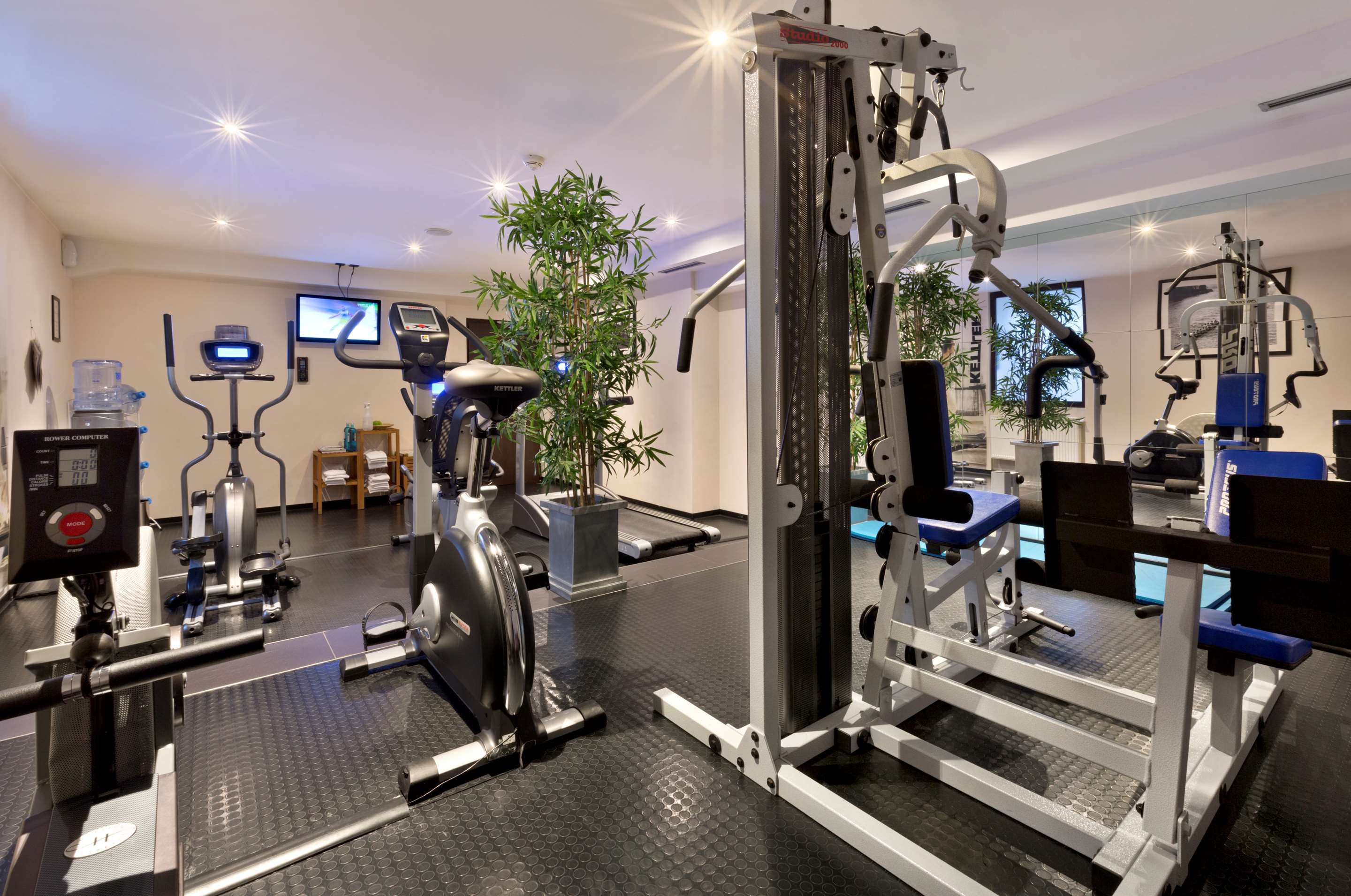 Gimnasio