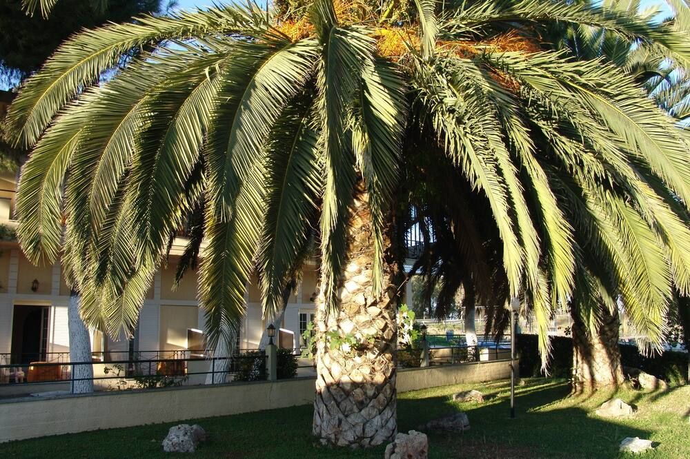 Vista del exterior